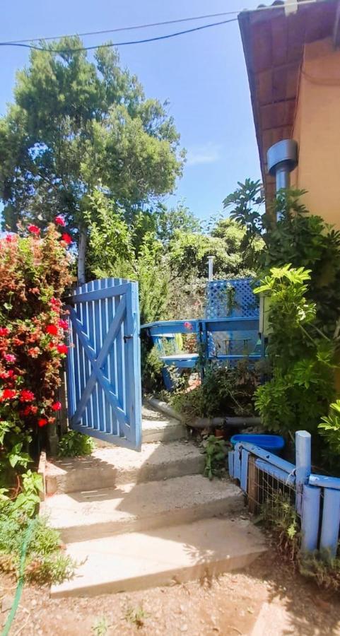 Cabanas Aire Marino Algarrobo Εξωτερικό φωτογραφία