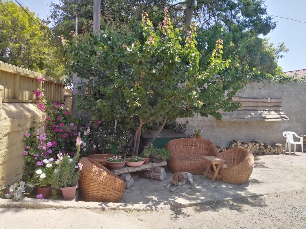 Cabanas Aire Marino Algarrobo Εξωτερικό φωτογραφία