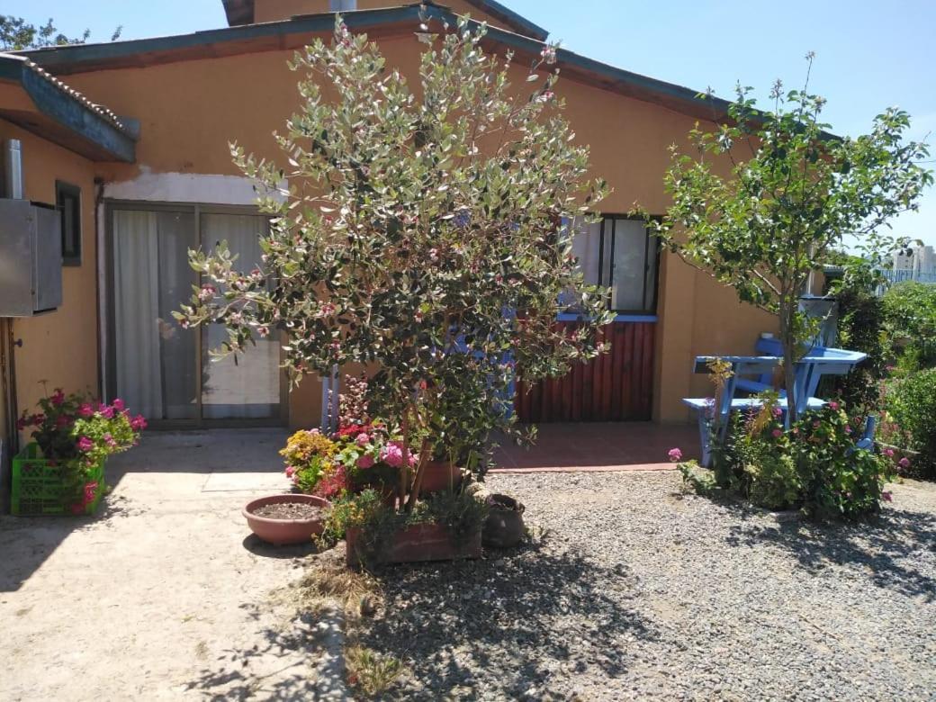 Cabanas Aire Marino Algarrobo Εξωτερικό φωτογραφία